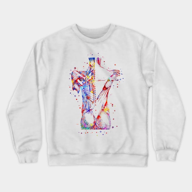 Human muscles Crewneck Sweatshirt by RosaliArt